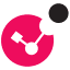 Check Point favicon