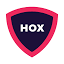 Hoxhunt favicon